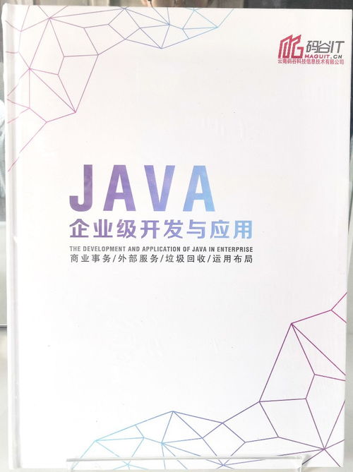 碼谷信息科技 專業(yè)軟件開發(fā)項目外包與數(shù)字文化創(chuàng)意解決方案